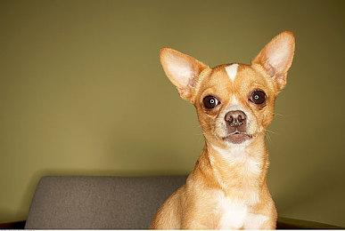 史玉柱：氪金玩家不能太弱了 但也不能太强！